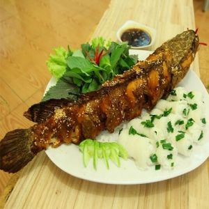 Cá quả chiên xù