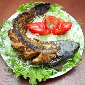 Cá quả nướng